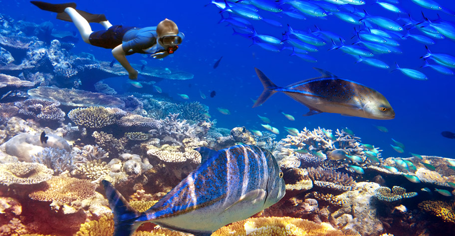 Mauritius Schnocheln Unterwasserwelt nicht Kuoni